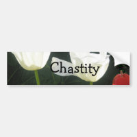 Chasteté