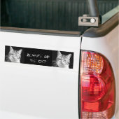 Autocollant De Voiture chat (Sur camion)