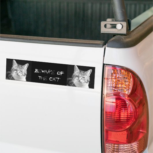 Autocollant De Voiture chat (Sur camion)