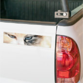 Autocollant De Voiture Chat (Sur camion)