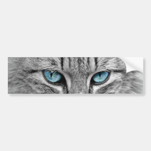 Autocollant De Voiture Chat aux longs cheveux gris yeux bleus verts Anima