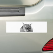 Autocollant De Voiture Chat couché (En voiture)