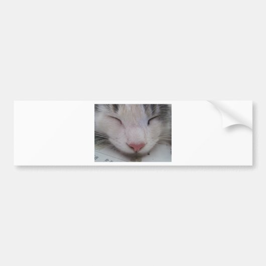Autocollant De Voiture Chat couché (Devant)
