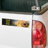 Autocollant De Voiture Chat criard plus votre texte (Sur camion)