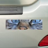 Autocollant De Voiture Chat gris (En voiture)
