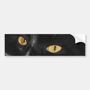 Autocollant De Voiture chat noir