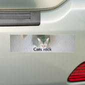 Autocollant De Voiture Chat, roche de chats (En voiture)
