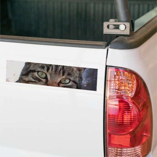 Autocollant De Voiture Chat spatial (Sur camion)