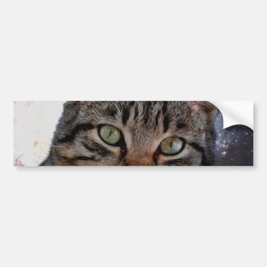 Autocollant De Voiture Chat spatial (Devant)