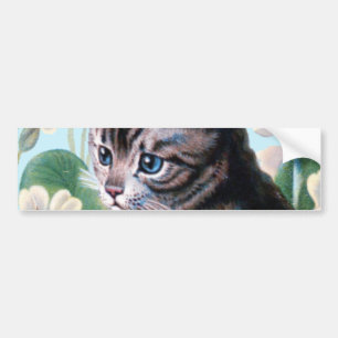 Autocollant De Voiture Chaton mignon - art vintage de chat