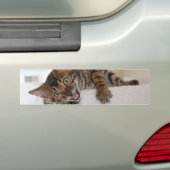 AUTOCOLLANT DE VOITURE CHATON RIANT (En voiture)