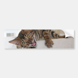 AUTOCOLLANT DE VOITURE CHATON RIANT