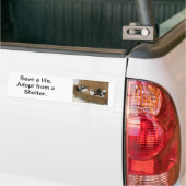 Autocollant De Voiture Chatons d'abri (Sur camion)