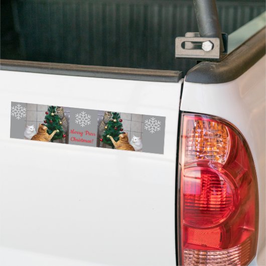 Autocollant De Voiture Chats Orne Arbre, Texte d'image, Personnaliser,  (Sur camion)