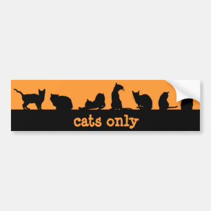 Autocollant De Voiture chats seulement