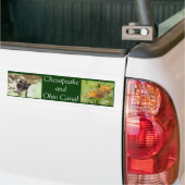 Autocollant De Voiture Chesapeake et canal de l'Ohio (Sur camion)