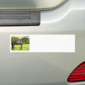 Autocollant De Voiture Cheval 9A53D-20 (En voiture)