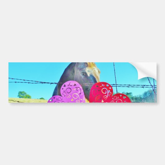 Autocollant De Voiture Cheval blanc et Brown Valentine Coeurs (Devant)