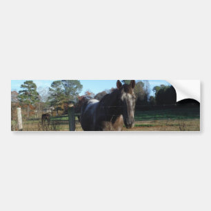 Autocollant De Voiture Cheval brun Coco et Crème