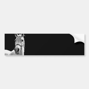 Autocollant De Voiture Cheval BW