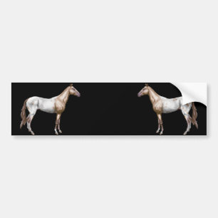 Autocollant De Voiture Cheval de Nez Perce