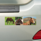 Autocollant De Voiture Chevaux (En voiture)