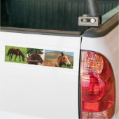 Autocollant De Voiture Chevaux (Sur camion)