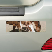 Autocollant De Voiture Chevaux (En voiture)