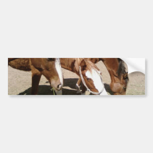 Autocollant De Voiture Chevaux