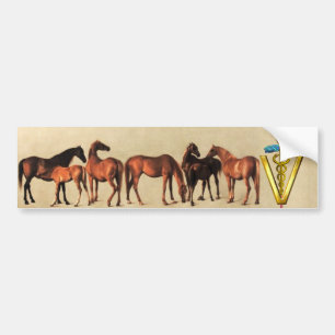 AUTOCOLLANT DE VOITURE CHEVAUX/MARES ET FOALS SYMBOLE VÉTÉRINAIRE CADUCE