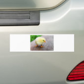 Autocollant De Voiture Chick de Pâques (En voiture)