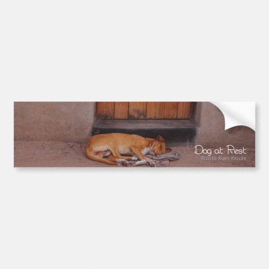 Autocollant De Voiture Chien au repos (Devant)