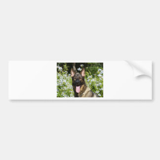 Autocollant De Voiture Chien berger allemand