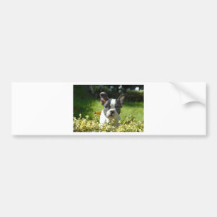 Autocollant De Voiture Chien Boule de race française noir et blanc