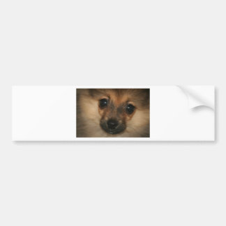 Autocollant De Voiture Chien fantôme