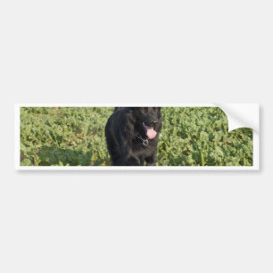 Autocollant De Voiture Chien noir
