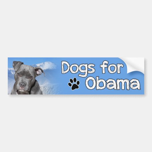 Autocollant De Voiture Chiens pour Obama (Devant)