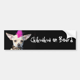Autocollant De Voiture Chihuahua à bord de l'autocollant pare-chocs