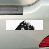 Autocollant De Voiture Chimpanzé noir et blanc (En voiture)
