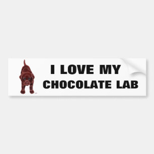 Autocollant De Voiture Chiot de Labrador de chocolat