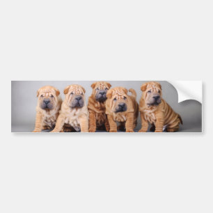 Autocollant De Voiture Chiots chinois Shar Pei