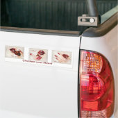 Autocollant De Voiture Chocolat Lover Aboard Bumper Sticker (Sur camion)