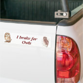 Autocollant De Voiture Chouette aquarelle, Oiseau, Nature, Faune (Sur camion)