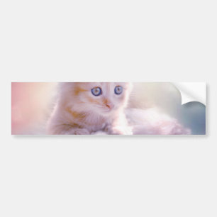 Autocollant De Voiture Christmas Kitten