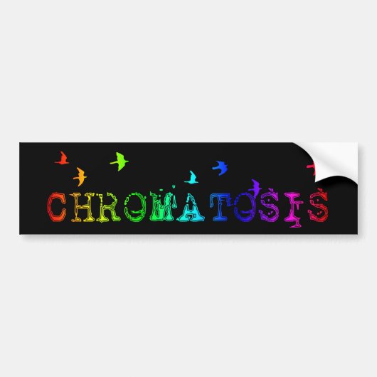 Autocollant De Voiture chromatose : oiseaux arc-en-ciel : (Devant)
