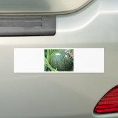 Autocollant De Voiture Citrouille vert (En voiture)