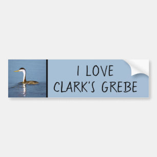 Autocollant De Voiture Clark's Grebe Painting - Art original pour les ois