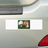 Autocollant De Voiture Cobayes (En voiture)