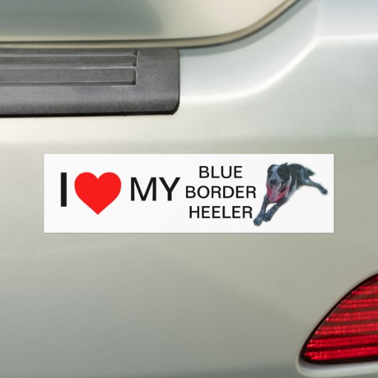 Autocollant De Voiture Coeur I ma frontière bleue Heeler (En voiture)