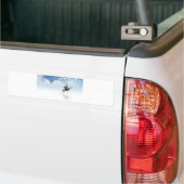 Autocollant De Voiture Colibri (Sur camion)